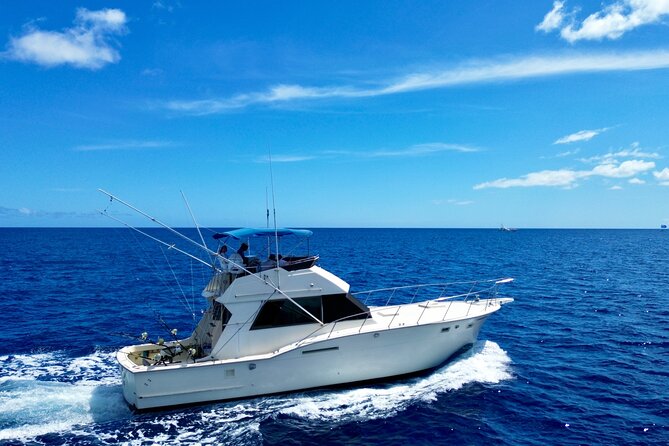 Private Luxury Sportfishing Experience Aboard Limitless - Weather, waves, and the risk of an empty trip