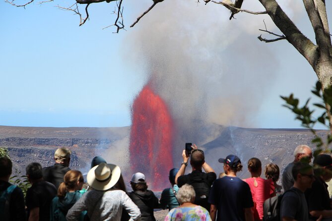 Private Shore Excursion Hilo Volcanoes National Park up to 10 PPL - Why this private Hilo tour works well