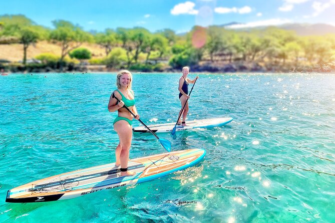 Private Stand Up Paddle Boarding Tour in Turtle Town, Maui - A calm fit for nervous ocean swimmers