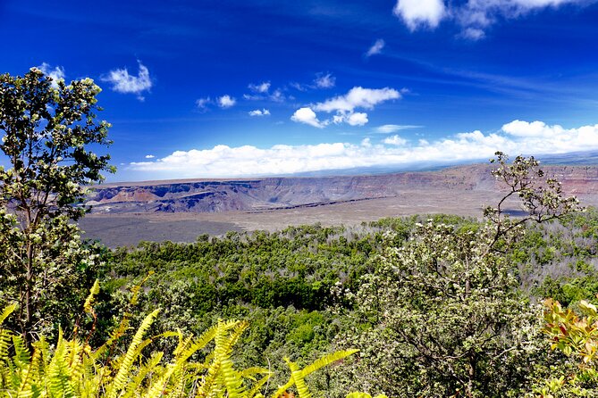 Private Tour: Experience Active Kilauea Volcano & Hilo Rainbow Falls - Key points to know before booking