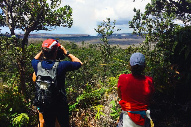 Private Tour: Hawaii Volcanoes National Park Eco Tour - A private introduction to Kīlauea’s active world