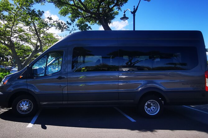 Private Transfer From Hotels in Waikoloa & Waimea to Kona International Airport - The drive to Kona International Airport