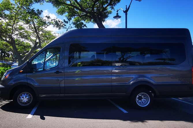Private Transfer From Kona International Airport to Hotels in Waikoloa & Waimea - From the luggage carousel to Waikoloa or Waimea