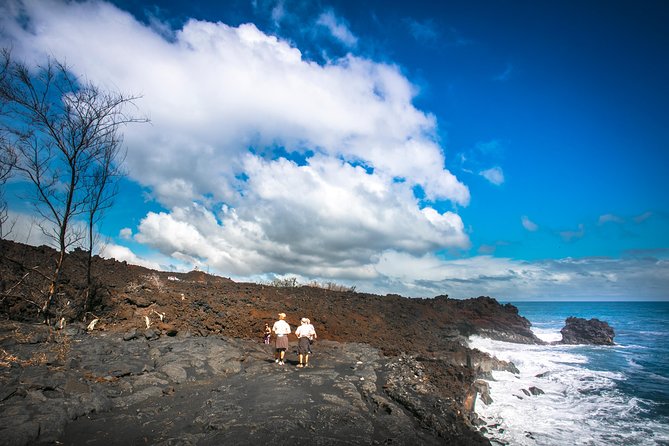 Private VAN Tour Hilo - Key points to know before booking