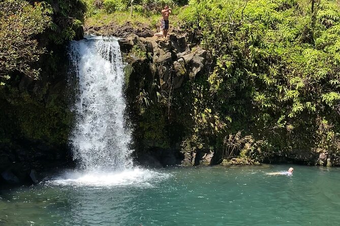 Rainforest Tour to Hana and Beyond - A small group with a distinctly local feel