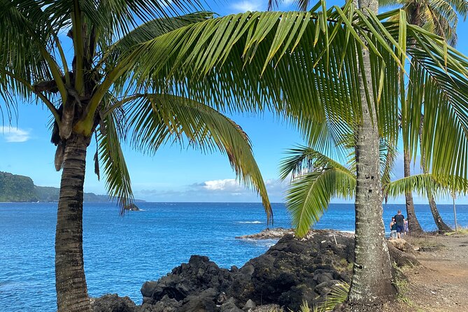 Rainforest Tour to Hana and Beyond - What $210 buys you in practical terms