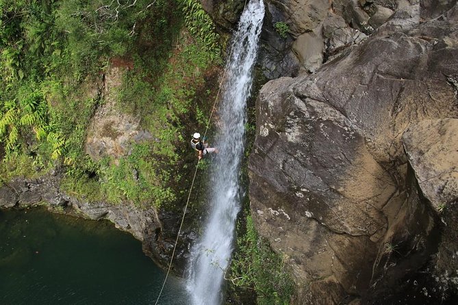 Rappel Maui Waterfalls and Rainforest Cliffs - Why waterfall rappelling feels different from a standard Maui excursion