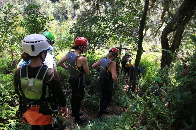 Rappel Maui Waterfalls and Rainforest Cliffs - Is $240.84 a fair price?