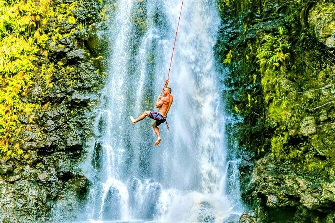 Road To Hana Black Sand Beach Waterfalls & Turtles Tour - Wai’anapanapa is the main prize