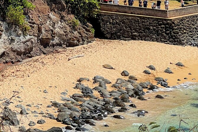Road To Hana Black Sand Beach Waterfalls & Turtles Tour - Motion sickness is the biggest practical concern