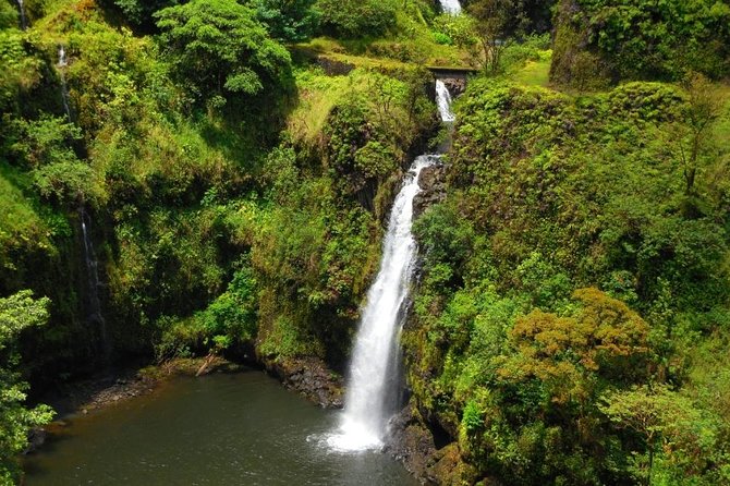 Road To Hana Black Sand Beach Waterfalls & Turtles Tour - Pua’a Ka’a State Park offers a gentle first stop