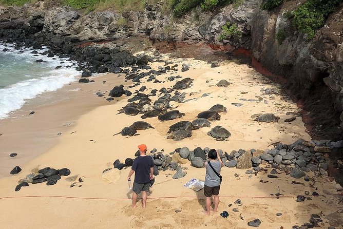 Road to Hana: Full-Day Scenic Drive with Blacksand & Waterfalls - Wai‘anapanapa’s black sand and volcanic caves