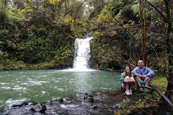 Road To Hana: Maui Waterfall Hiking Tour in Private Jeep - Should you book the private Road to Hana Jeep tour?