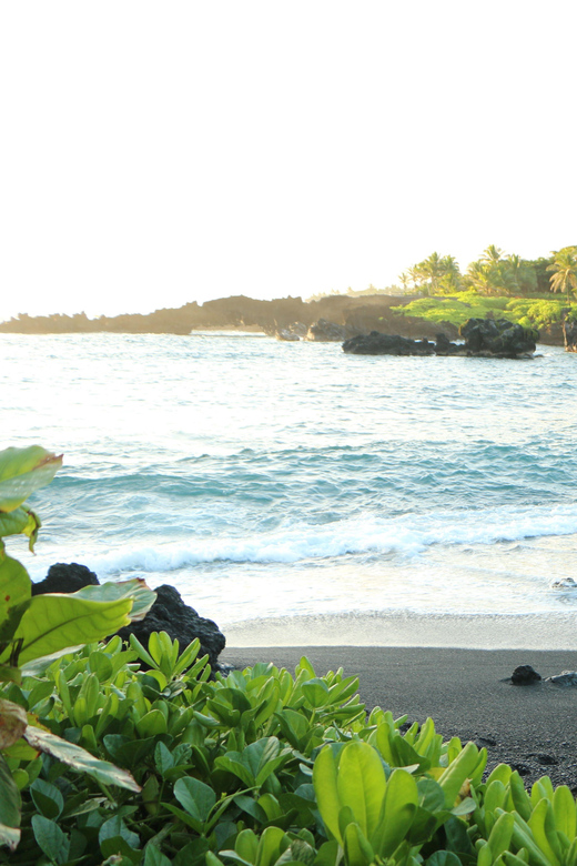 Road to Hana: Professional Guide, Food, Swimming, Waterfalls - Waterfalls, rainforest, and the slow rhythm of the road