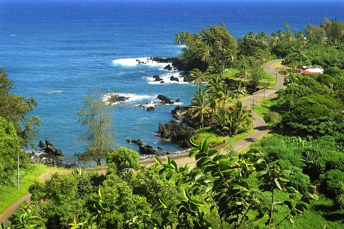 Road to Hana Tour with Lunch and Pickup - Why letting someone else drive makes sense