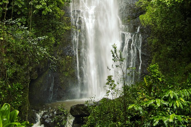 Road to Hana Tour with Lunch and Pickup - Wai‘anapanapa’s black sand and volcanic shore