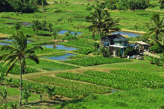 Road to Hana Tour with Lunch and Pickup - The guides shape the whole day