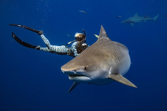 Safe and Educational Shark Dive from Haleiwa: Sharks Guaranteed - Leaving Haleiwa for the open Pacific
