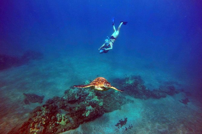 Sea Scooter Snorkeling Tour with GoPro - Wailea Beach - Sea turtles are the main event