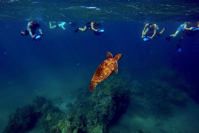 Sea Scooter Snorkeling Tour with GoPro - Wailea Beach - Photos, video, and what you actually receive
