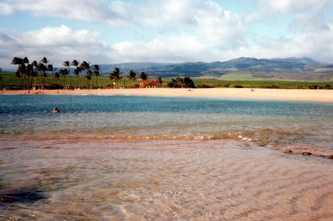 Secret Kauai Canyons & Coastlines Tour - Kauai Coffee adds a useful local flavor