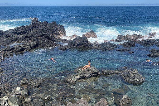 Secret Tide Pool Hike - Jungle & Coast - Private - Key points to know before you book