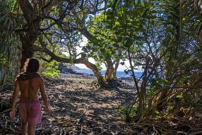 Secret Tide Pool Hike - Jungle & Coast - Private - How the private format affects the experience