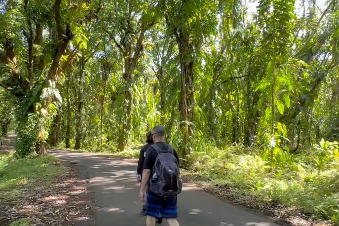 Secret Tide Pool Hike - Jungle & Coast - Private - Price, timing, and overall value