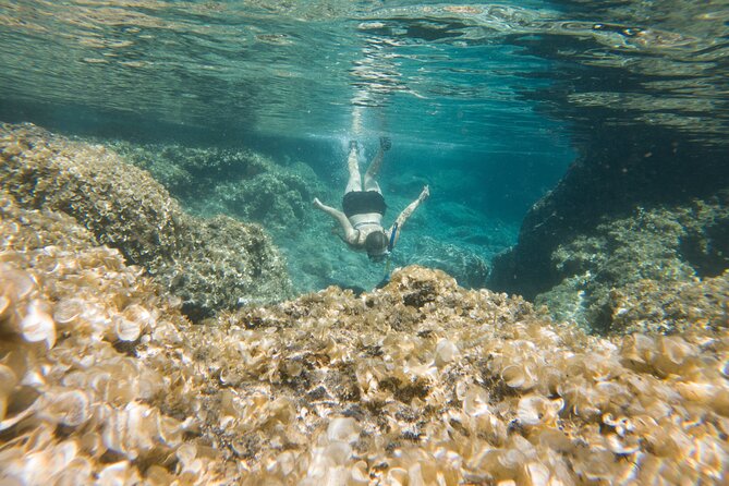 Secret Tide Pool Hike - Jungle & Coast - Private - Who should and should not choose this hike