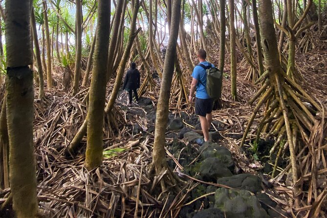 Secret Tide Pool Hike - Jungle & Coast - Private - The 30-minute coastal approach