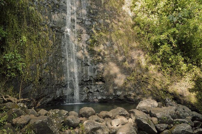 Self guided Hike Trail to Nature Walk & Waterfall - Manoa Valley, where rain makes the trail