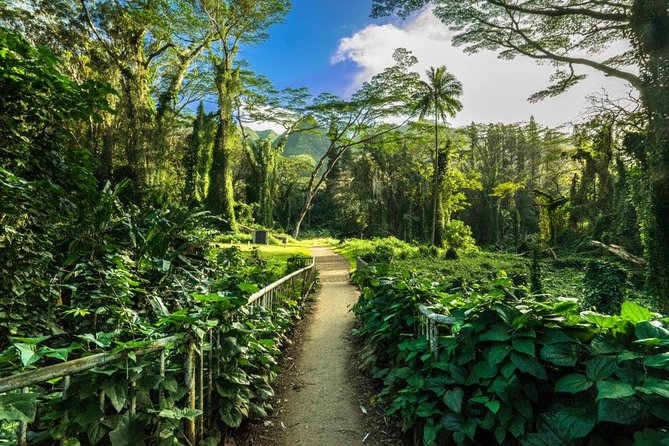 Self guided Hike Trail to Nature Walk & Waterfall - Reaching the 150-foot waterfall