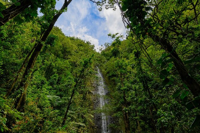 Self guided Hike Trail to Nature Walk & Waterfall - What the $79 price really covers