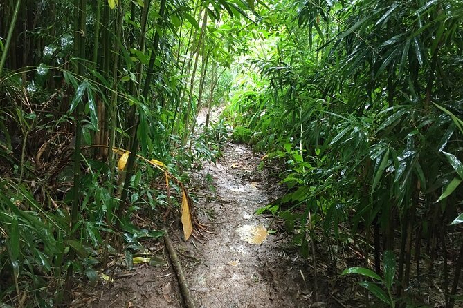 Self guided Hike Trail to Nature Walk & Waterfall - Pickup details and the three-hour schedule