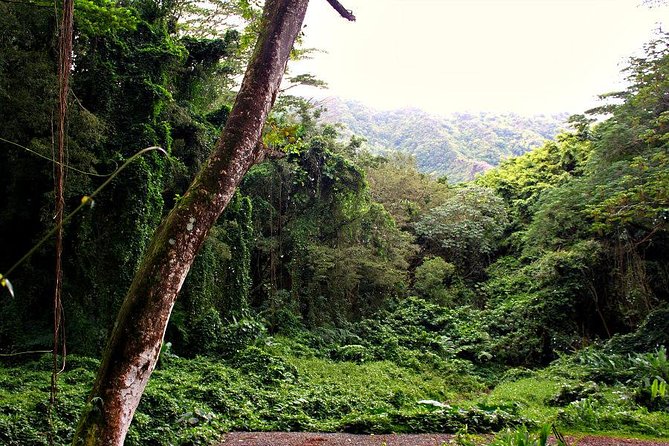 Self guided Hike Trail to Nature Walk & Waterfall - How to decide if the experience is worth it