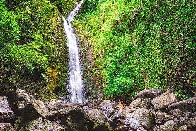 Self Guided Hike Trail to Nature Walk & Waterfall - A Scenic Drive Through Manoa Valley