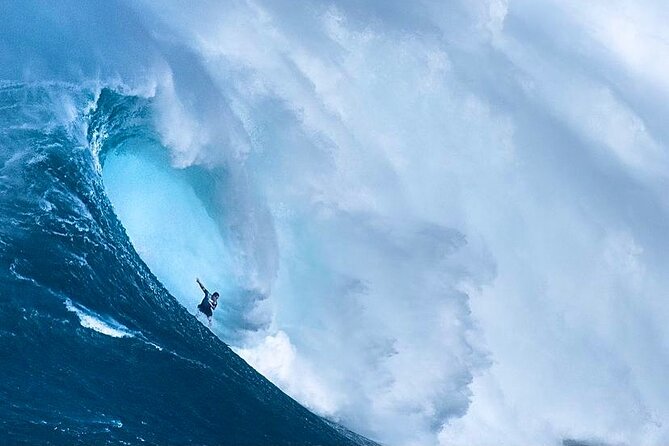 Shark Cage Diving On "The World Famous North Shore of Oahu", Hawaii - Who should book this outing