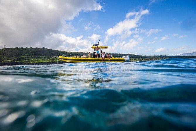 Shark-Dive Tour on Oahu's North Shore - The equipment and optional photos