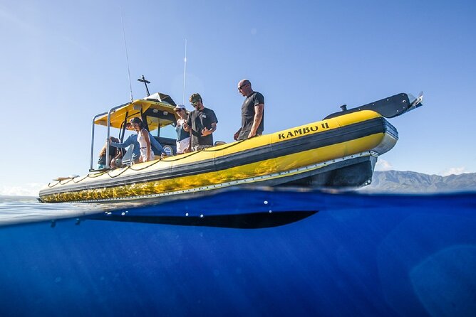 Shark-Dive Tour on Oahu's North Shore - Is $135 a fair price?