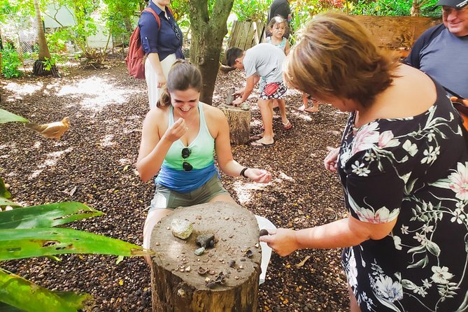 Sights & Bites Ultimate Oahu Circle Island Foodie Tour - Puaʻena Point offers a chance to spot green sea turtles