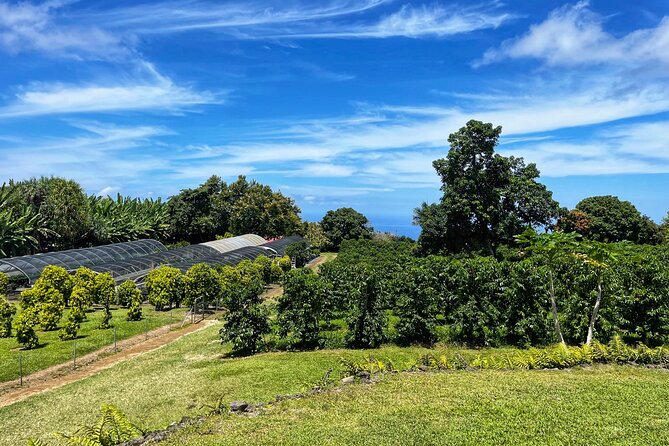 Small-Group Big Island Tour: Hawaii Volcanoes National Park and Kona Coffee Farm - Food, warmth, and the long ride back