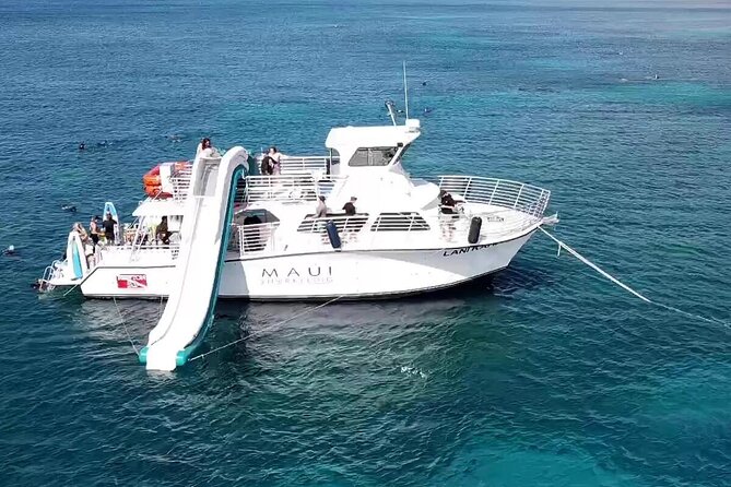 Small Group Coral Gardens Snorkel & Waterslide Adventure - Whale season adds a useful bonus