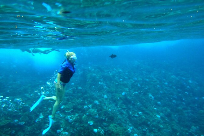 Small Group Coral Gardens Snorkel & Waterslide Adventure - Photos are available, but they are optional