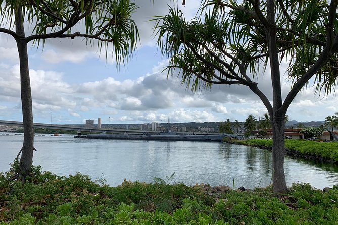Small Group-Oahu Tour, Dole Plantation, Northshore, Sunset Beach - Why this Oahu route works