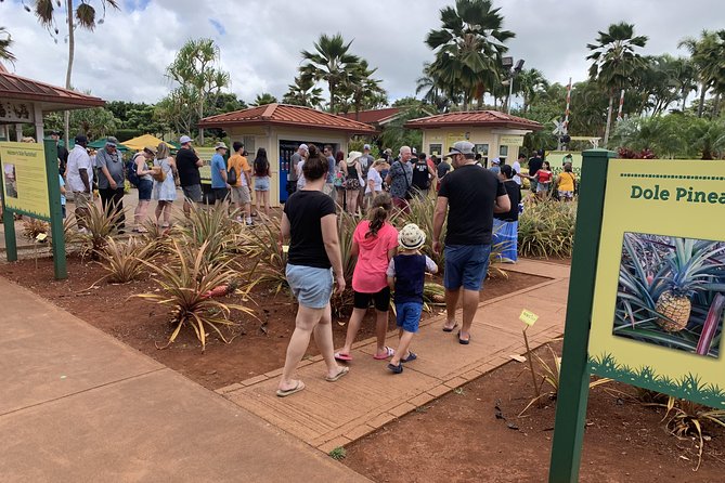 Small Group-Oahu Tour, Dole Plantation, Northshore, Sunset Beach - Honolulu’s civic landmarks add more than a beach loop