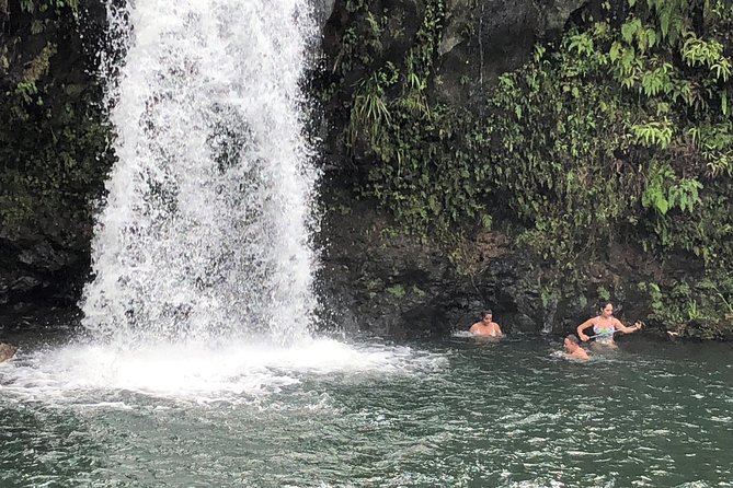 Small-Group Road to Hana Adventure Tour with Pickup & Lunch - Why the Road to Hana works better from the passenger seat