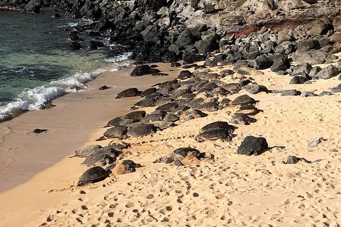Small-Group Road to Hana Adventure Tour with Pickup & Lunch - Wai’anapanapa brings black sand, caves, and Hawaiian stories
