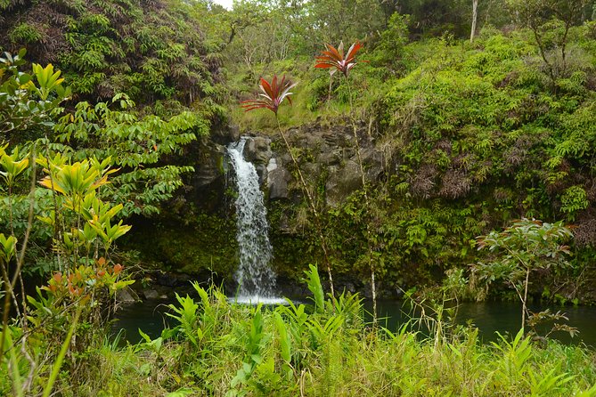 Small-Group Road to Hana Luxury Tour - Ke‘anae Point and the old rhythm of Maui