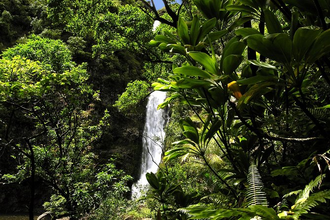 Small-Group Road to Hana Luxury Tour - Meals, drinks, and the two package choices