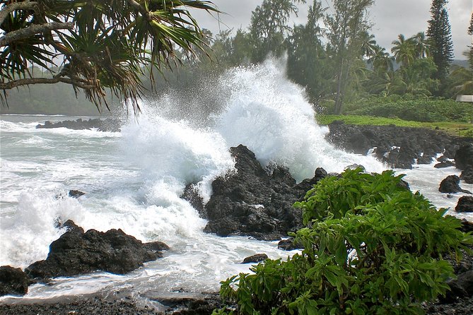 Small-Group Road to Hana Luxury Tour - The guide is the real variable